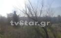 SOS: Κόβουν τα δένδρα του Σπερχειού [Video - Photos] - Φωτογραφία 7