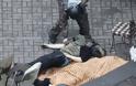 Φόβοι για νύχτα... κόλαση στην Ουκρανία! - Οι διαδηλωτές κρατούν 67 αστυνομικούς αιχμάλωτους – Δεν έχει τέλος η αιματοχυσία - Φωτογραφία 16