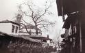 21 Φεβρουαρίου 1913 - 101 χρόνια ελεύθερα Γιάννενα! - Φωτογραφία 7