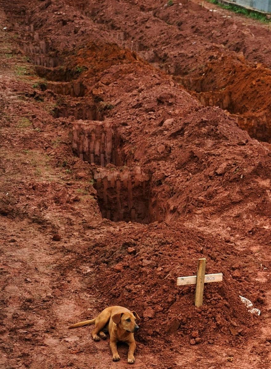 30 φωτογραφίες που συγκλόνισαν την ανθρωπότητα... - Φωτογραφία 20