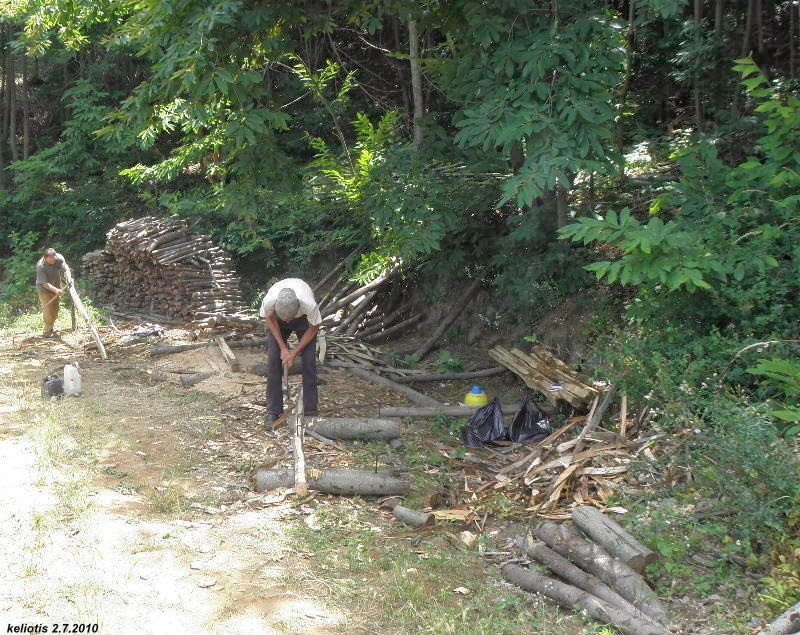 4372 - Κατεργασία κορμών με τσεκούρι, στο Άγιο Όρος - Φωτογραφία 6