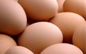 Πόσα αυγά μπορούμε να τρώμε χωρίς να βλάπτουμε την υγεία μας;