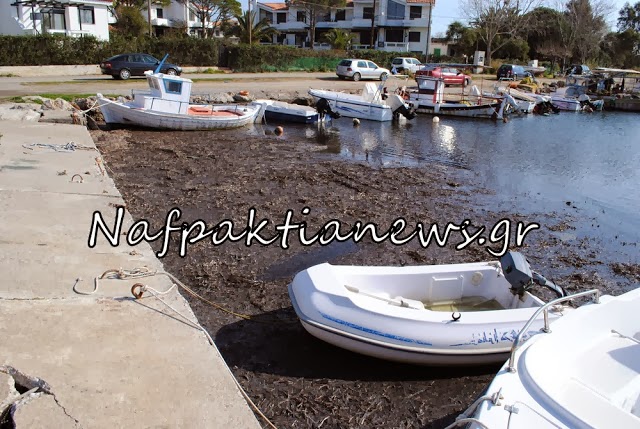 Εικόνες ντροπής και εγκατάλειψης στο Λιμανάκι της Μακύνειας - Φωτογραφία 5