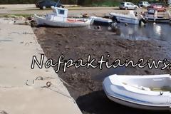Εικόνες ντροπής και εγκατάλειψης στο Λιμανάκι της Μακύνειας