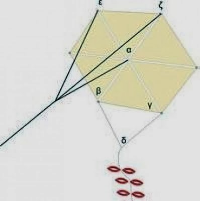 Φτιάξτε χαρταετό μόνοι σας! [video] - Φωτογραφία 2