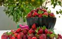 Φράουλα: τέσσερις πρωτότυπες πανεύκολες συνταγές για να τις απολαύσεις