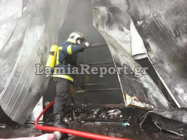 Δείτε φωτογραφίες από τη πυρκαγιά στο εργοστάσιο στο Μοσχοχώρι Λαμίας - Φωτογραφία 1