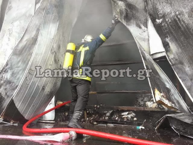 Δείτε φωτογραφίες από τη πυρκαγιά στο εργοστάσιο στο Μοσχοχώρι Λαμίας - Φωτογραφία 6