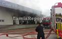 Δείτε φωτογραφίες από τη πυρκαγιά στο εργοστάσιο στο Μοσχοχώρι Λαμίας - Φωτογραφία 4