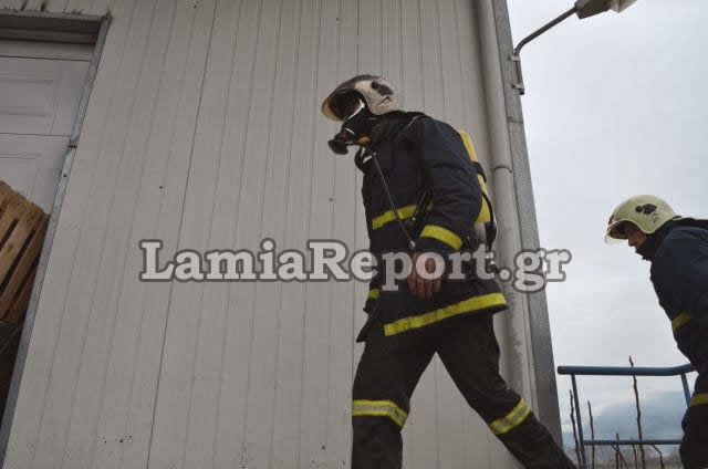 Τέθηκε υπό έλεγχο η πυρκαγιά στο εργοστάσιο στο Μοσχοχώρι [Video - Photos] - Φωτογραφία 6