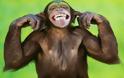Περίεργη μαϊμού τα βάζει με κάμερα και τελικά μένει με τις μπαταρίες [video]