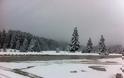 Με χιόνι τα κούλουμα στα Ορεινά Τρικάλων - Φωτογραφία 2