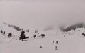 Αχαΐα: Καθαρά Δευτέρα με...χιονοπέδιλα στα Καλάβρυτα - Δείτε φωτο