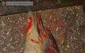Φανάρι Μυτιλήνης: Ξεβράστηκε νεκρό δελφίνι - Φωτογραφία 2
