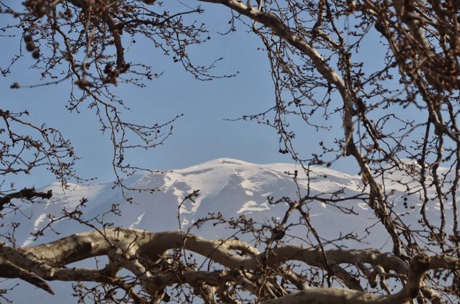 Χιλιάδες χιλιόμετρα έχουν διανύσει οι ορειβάτες του κάμπου της Μεσαράς! [photos] - Φωτογραφία 1