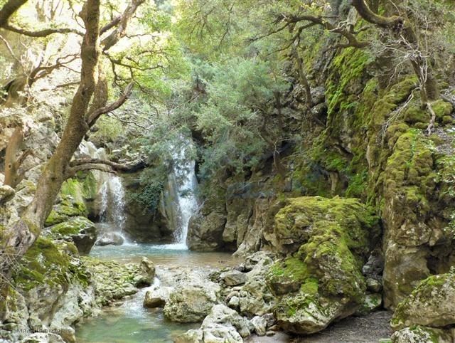 Χιλιάδες χιλιόμετρα έχουν διανύσει οι ορειβάτες του κάμπου της Μεσαράς! [photos] - Φωτογραφία 5