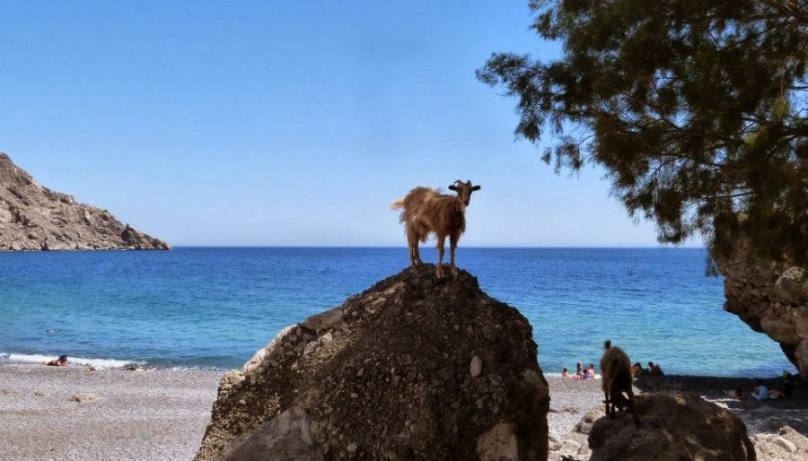 Χιλιάδες χιλιόμετρα έχουν διανύσει οι ορειβάτες του κάμπου της Μεσαράς! [photos] - Φωτογραφία 6