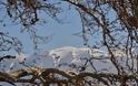 Χιλιάδες χιλιόμετρα έχουν διανύσει οι ορειβάτες του κάμπου της Μεσαράς! [photos] - Φωτογραφία 1