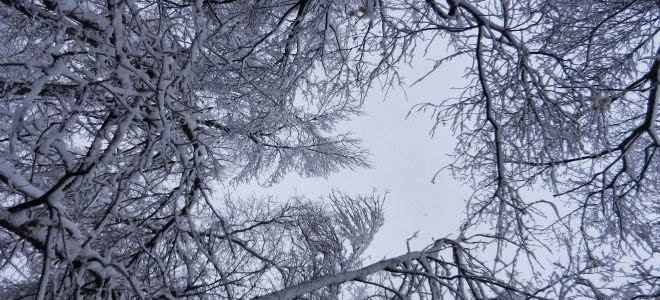 Χειμωνιάτικο το σκηνικό του καιρού - Φωτογραφία 1