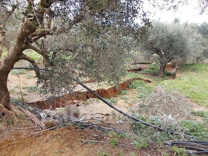 Κόπηκε στα δύο η γη στην Ηλεία - Καθίζηση και κατολισθήσεις από τις βροχές - Φωτογραφία 4