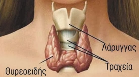 ΕΛΛΕΙΨΗ ΤΟΥ ΦΑΡΜΑΚΟΥ THYROHORMONE TABL BT 100 X0,1MG - Φωτογραφία 2