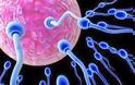 Οι πολυβιταμίνες βοηθούν την γονιμότητα