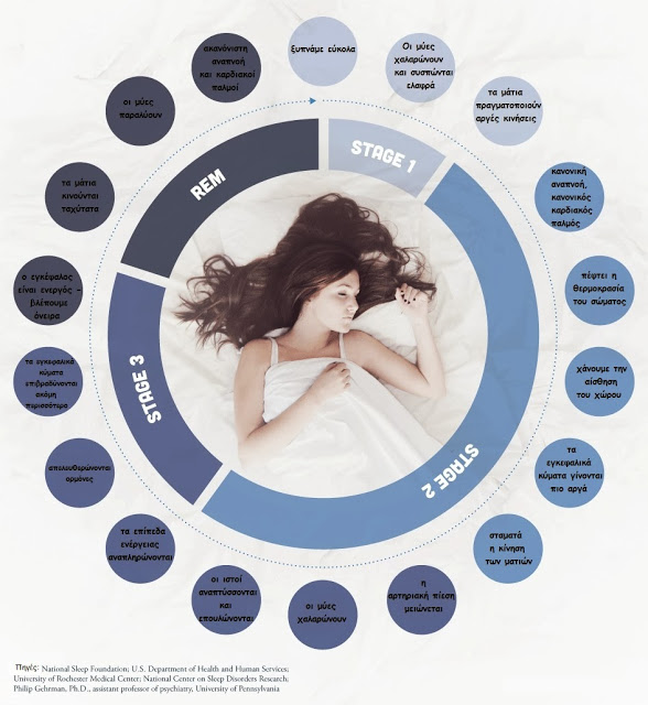 Δείτε τι συμβαίνει στο σώμα μας όταν κοιμόμαστε (γράφημα) - Φωτογραφία 2