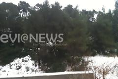 Εύβοια: Στα λευκά ντύθηκαν τα ορεινά της Στενής