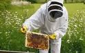 Τι ισχύει και τι θα πληρώσουν Αγρότες - Μελισσοκόμοι με το νέο καθεστώς βιβλίων εσόδων - εξόδων