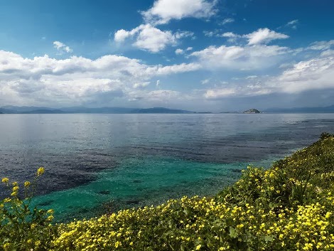 Αυτή είναι η μαγική βίλα του Γιάννη Μόραλη στην Αίγινα - Στο σφυρί αντί αστρονομικού ποσού - Φωτογραφία 11