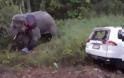 Ελέφαντας προκάλεσε τον θάνατο έξι ατόμων