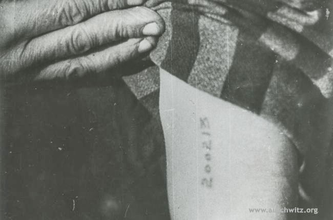 Σπάνιες σφραγίδες των Ναζί στο μουσείο του Άουσβιτς - Φωτογραφία 3