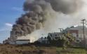 Ρέθυμνο: Μεγάλη πυρκαγιά στην Creta Farms [photos+video]