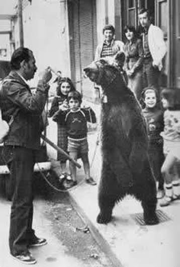 Εύβοια: Η εικόνα της αλυσοδεμένης αρκούδας να χορεύει ξύπνησε άσχημες μνήμες από το παρελθόν - Φωτογραφία 2