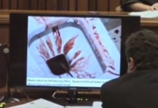 CNN: Καρέ καρέ πώς σκότωσε ο Πιστόριους την Ρίβα - Φωτογραφία 3