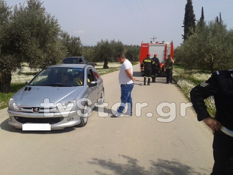 ΙΧ με 3 επιβάτες στη Λαμία έπεσε πάνω σε ελιές - Φωτογραφία 5
