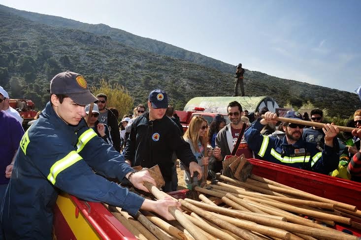 Αναβιώνει το δάσος στο παλιό Νταμάρι στον Υμηττό - Φωτογραφία 2