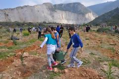 Αναβιώνει το δάσος στο παλιό Νταμάρι στον Υμηττό