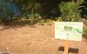 Λαχανόκηπους σε Δημοτικά Σχολεία δημιουργεί ο Δήμος Αμαρουσίου στο πλαίσιο του πρωτοποριακού ευρωπαϊκού προγράμματος «Παιδειατροφή - EPHE»
