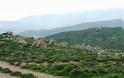 Αυτοψία της Περιφέρειας Κρήτης στη περιοχή της Μονής Τοπλού για την σχεδιαζόμενη επένδυση - Φωτογραφία 1
