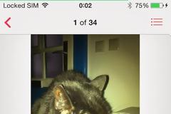 CoverArtExplorer: Cydia app v 1.0.1 ($1.99)