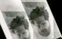 Θρίλερ με φωτογραφία που φέρεται να δείχνει το κομμένο κεφάλι του Αρη Βελουχιώτη - Φωτογραφία 4