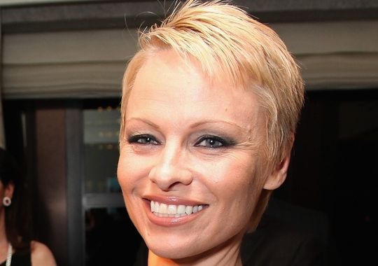 Pamela Anderson: «Τα παιδιά μου γνωρίζουν για την ερωτική κασέτα μου. Ηλίθιο ίντερνετ» - Φωτογραφία 9