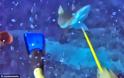 Βίντεο που παγώνει το αίμα: Η στιγμή που ήρθε αντιμέτωπος με καρχαρία