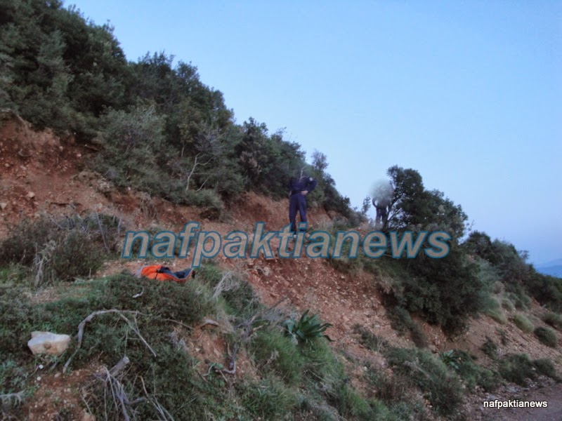 Συνελήφθη και ο δεύτερος ληστής της Μαμουλάδας - Φωτογραφία 2