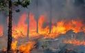Εξιχνίαση τριών περιπτώσεων εκδήλωσης πυρκαγιών στα Χανιά