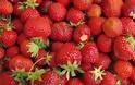 Τι πρέπει να γνωρίζουμε για τις φράουλες