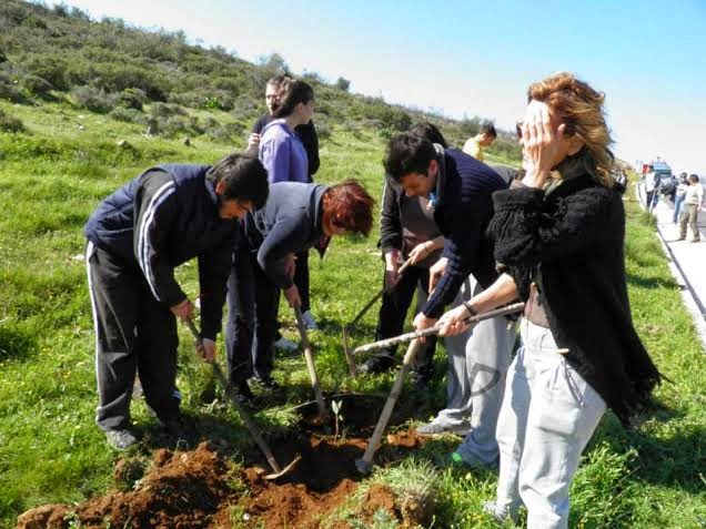 Με επιτυχία οι δράσεις Δεντροφύτευσης σε Δομβραίνα και  Θήβα - Φωτογραφία 2