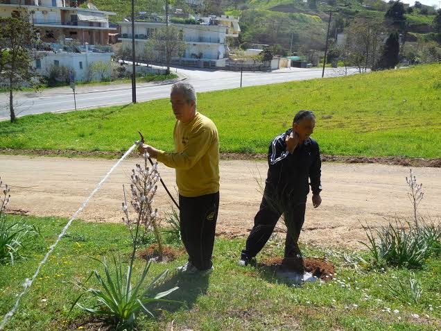 Με επιτυχία οι δράσεις Δεντροφύτευσης σε Δομβραίνα και  Θήβα - Φωτογραφία 4