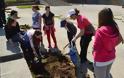 Πάτρα: Φύτεψαν δέντρα στο προαύλειο του σχολικού συγκροτήματος Γυμνασίου-Λυκείου Βραχνεΐκων